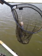 IMG_20110516_092850.jpg