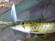 17072011893.jpg