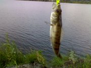 020620121763.jpg