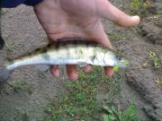 020620121769.jpg
