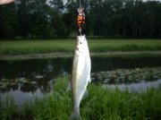 DSCN0455.jpg
