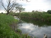 DSCN0458.jpg