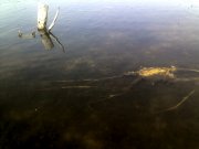 13-05-12_0959.jpg