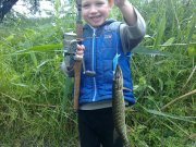 02062012327н.JPG