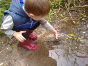 02062012330н.JPG