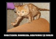 1338396720_demotivatory_07.jpg