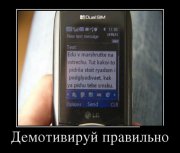 1338492467_demotivators_09.jpg