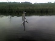 04-06-12_0643.jpg