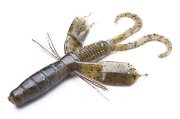 (Bys Craw).jpg