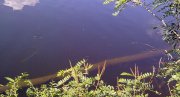 04062012521.jpg