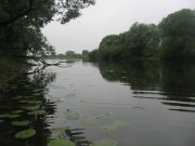 IMG_0608.JPG