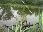 IMG_0609.JPG