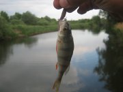 1-IMG_0001.JPG