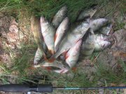 3-IMG_0030.jpg