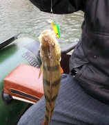 100_1107_cr.jpg