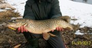 Копия (2) 100_3984.jpg