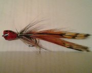 20120607_015441-1.jpg