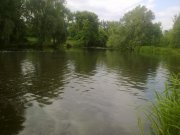 070620122305.jpg