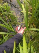 IMAG0362.jpg