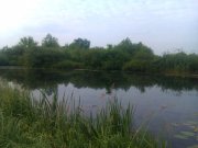 IMAG0363.jpg