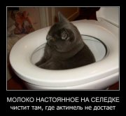 1339070649_demotivatory2_27.jpg