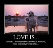 1339007108_demotivatory_na_sredu_35_foto_9.jpg