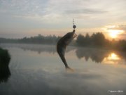 1-IMG_0003.JPG
