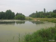 1-IMG_0013.JPG