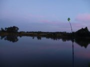 P1010194.jpg