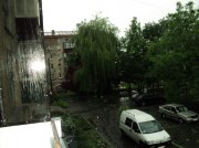 DSC07483.jpg