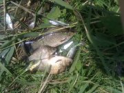 10062012518.jpg