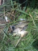 10062012519.jpg