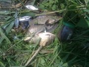 10062012520.jpg
