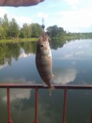 IMAG0383.jpg