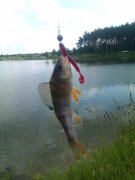 IMAG0377.jpg