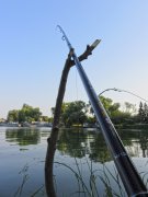 IMG_0863_ed.jpg