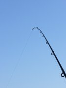 IMG_0864_ed.jpg