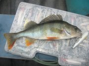 IMG_0615.JPG