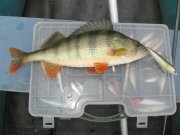 IMG_0620.JPG