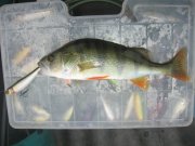 IMG_0616.JPG