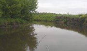 IMAG0175.jpg