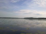 110620122315.jpg