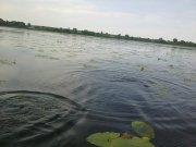 110620122316.jpg