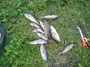 110620122317.jpg