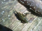 120620122320.jpg