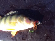 DSC04731.JPG