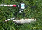 100_4363.jpg