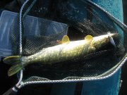 IMG_0631.JPG