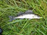120620121775.jpg