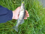 120620121776.jpg